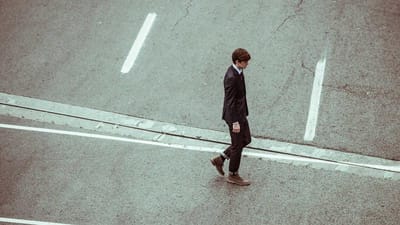 阳台种香草：从零开始的迷你花园