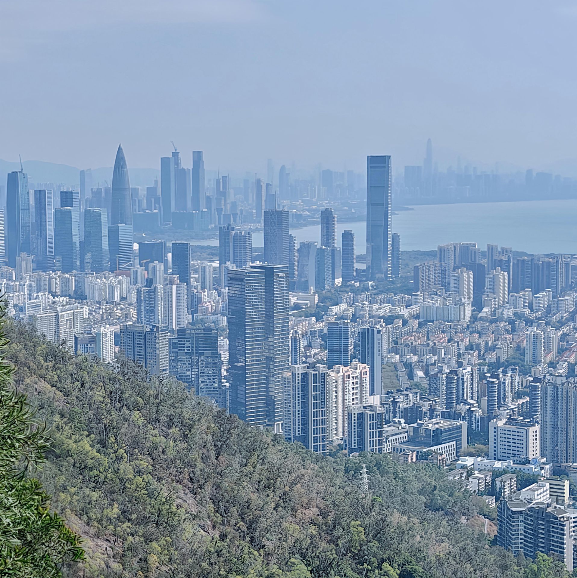 深圳大南山